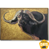 AFRICAN BUFFALO 19.6"x27.5"